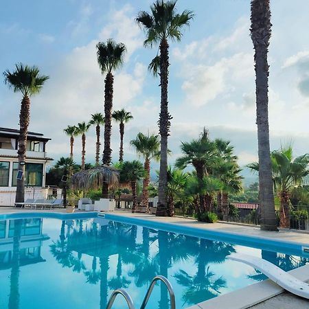 Bed and Breakfast Palm House Lamezia Terme Esterno foto